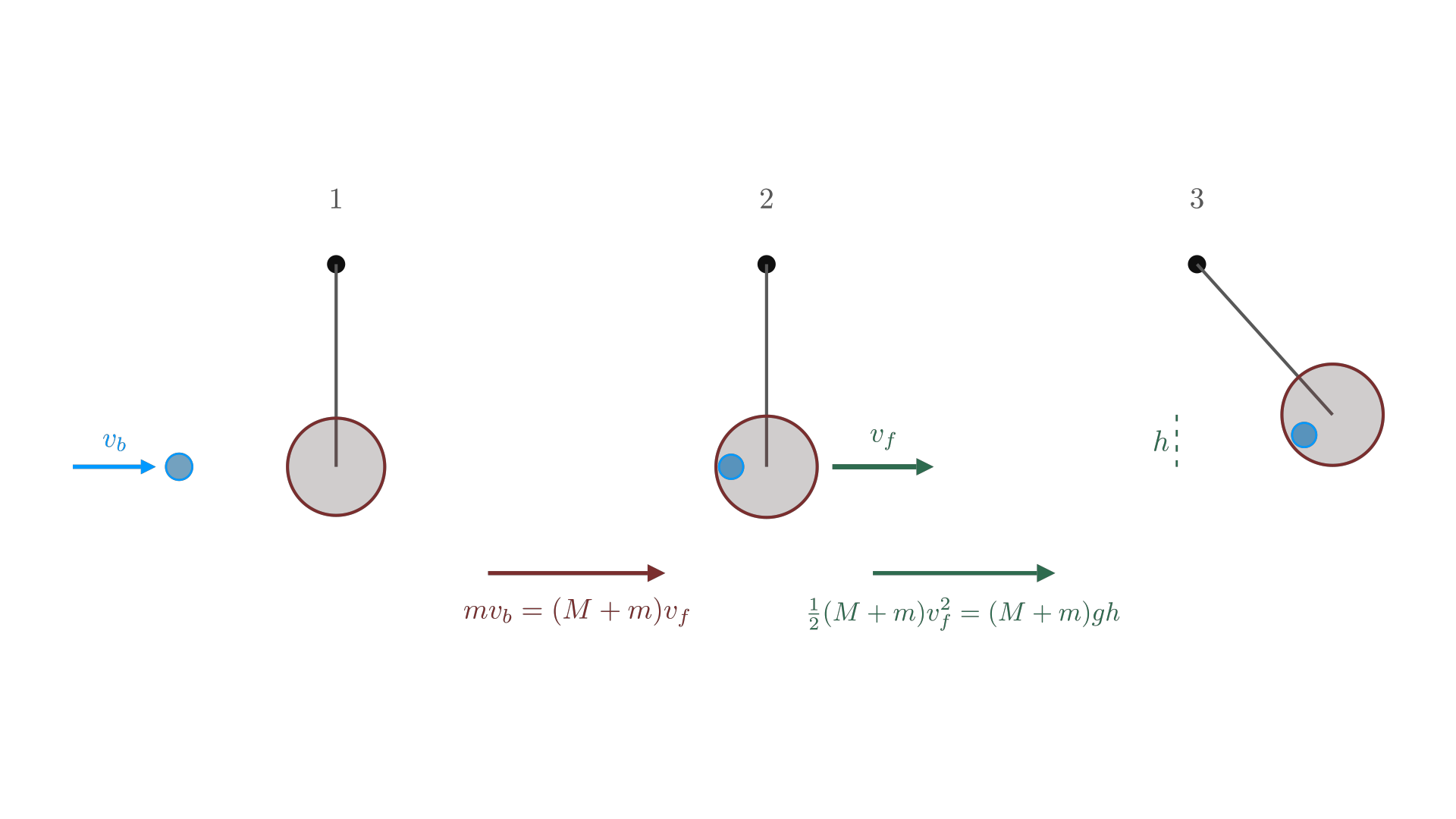 Ballistic pendulum solution sequence: conserve momentum during impact, then mechanical energy during the swing / 弹道摆的两阶段求解：碰撞时用动量守恒，摆升时用机械能守恒