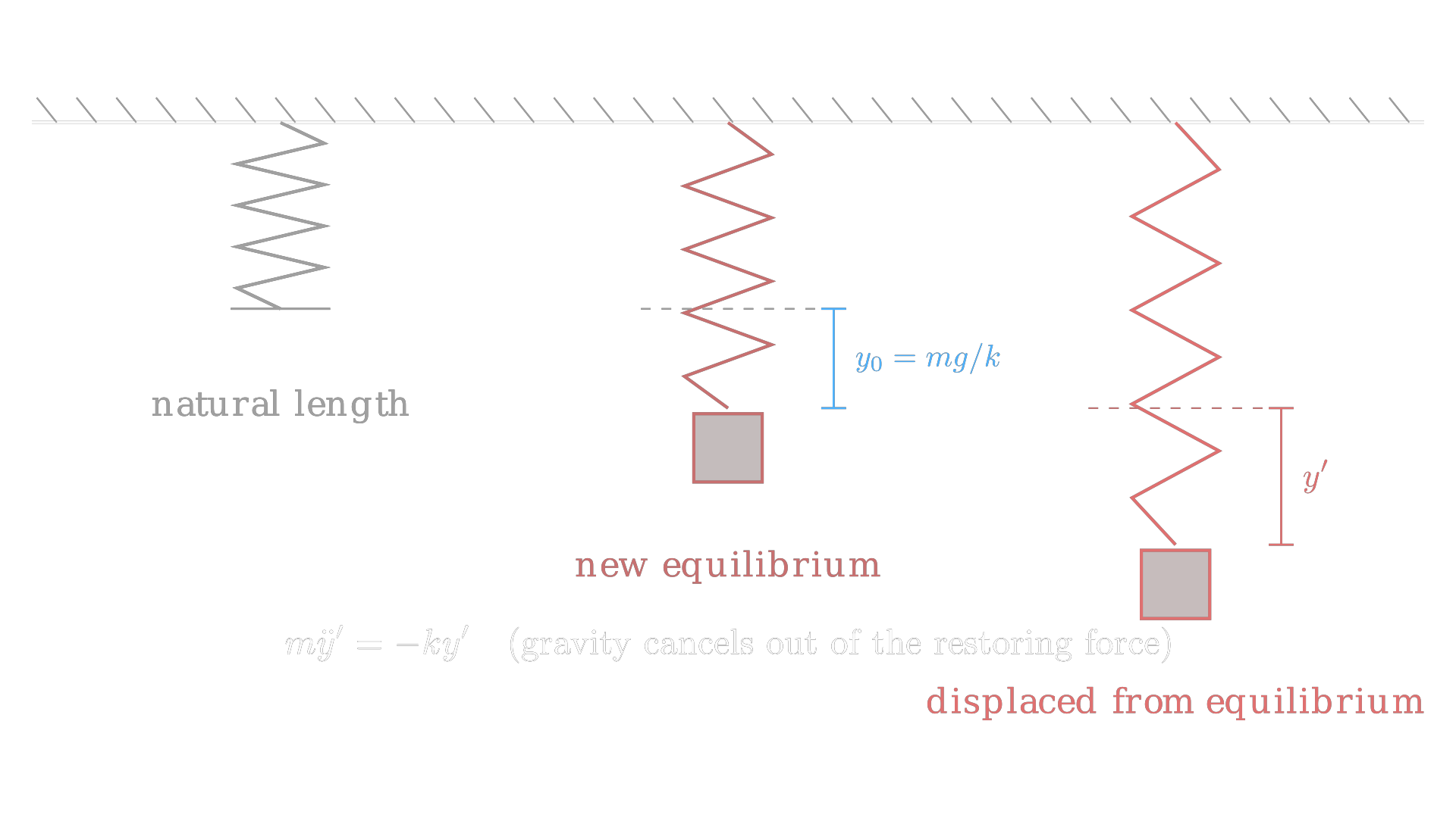 A vertical spring's equilibrium shifts to y0 = mg/k once a mass hangs from it; displacement for the SHM force law is measured from that new equilibrium, not the spring's natural length. / 竖直弹簧挂上物体后，平衡位置下移至 y0 = mg/k；SHM 力的规律中的位移是从这个新平衡位置量起的，而不是从弹簧自然长度量起。
