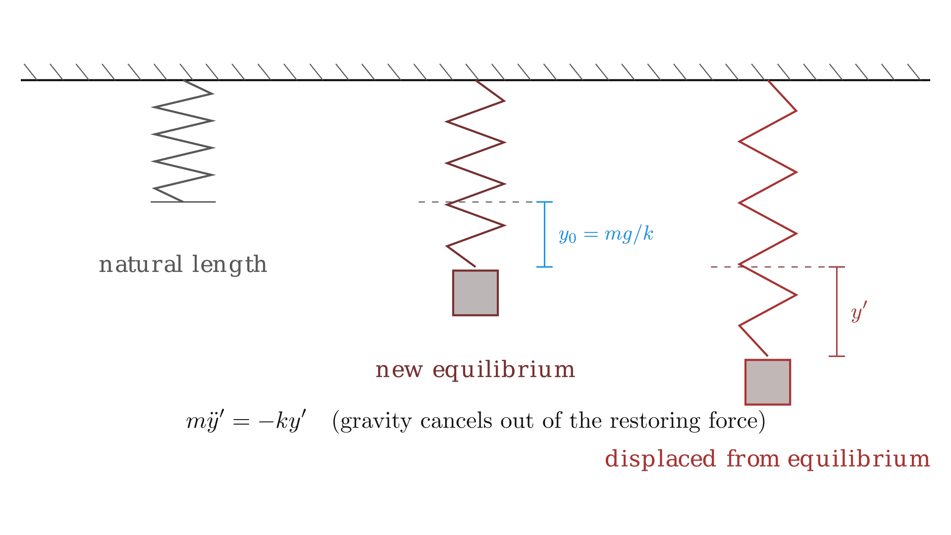 A vertical spring's equilibrium shifts to y0 = mg/k once a mass hangs from it; displacement for the SHM force law is measured from that new equilibrium, not the spring's natural length. / 竖直弹簧挂上物体后，平衡位置下移至 y0 = mg/k；SHM 力的规律中的位移是从这个新平衡位置量起的，而不是从弹簧自然长度量起。